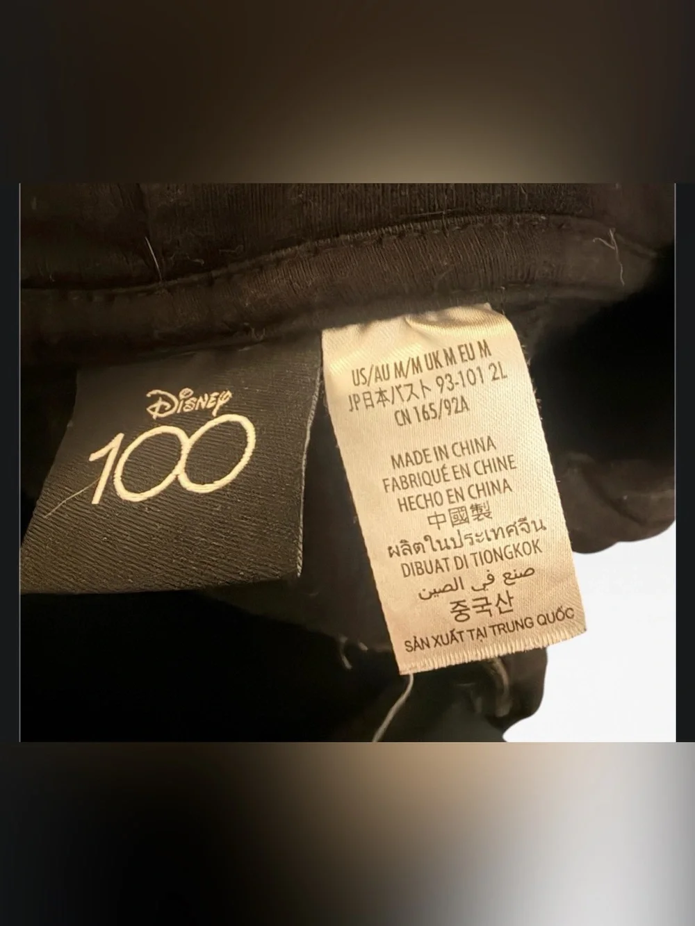(Size M) Disney Parks Disney 100 Years of Wonder Embroidered Full-Zip Hoodie